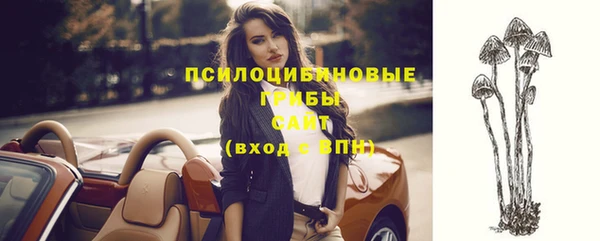 тгк Аркадак