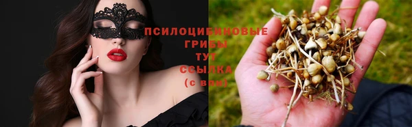 бошки Арсеньев