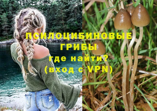 тгк Аркадак